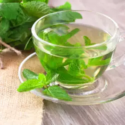 NANE-LIMON BITKI ÇAYI